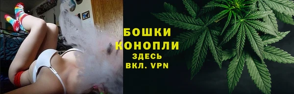 PSILOCYBIN Горнозаводск